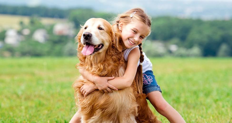 10 Advantages of Owning an Emotional Support Animal
